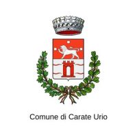logo carate